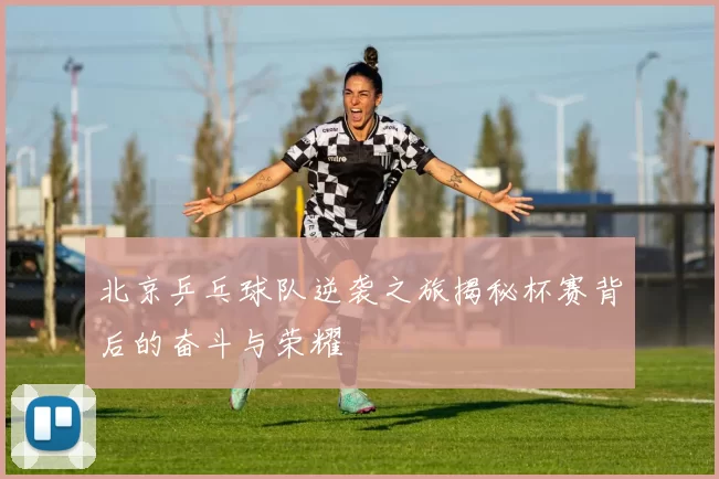 北京乒乓球队逆袭之旅揭秘杯赛背后的奋斗与荣耀