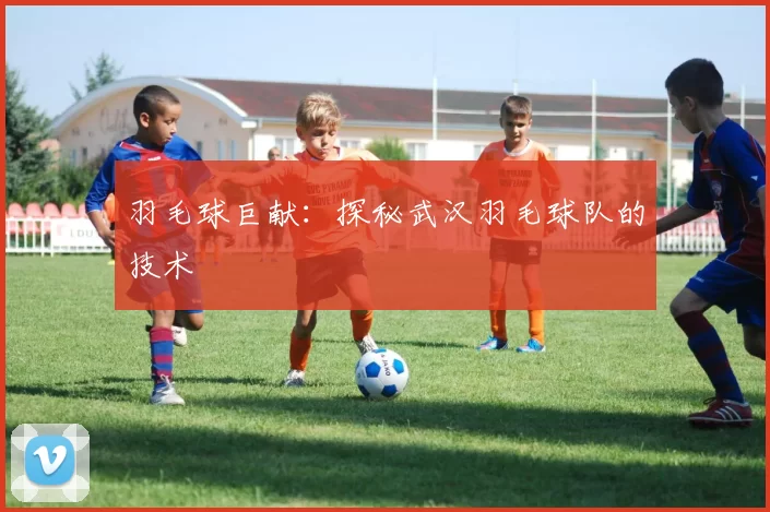 羽毛球巨献：探秘武汉羽毛球队的技术