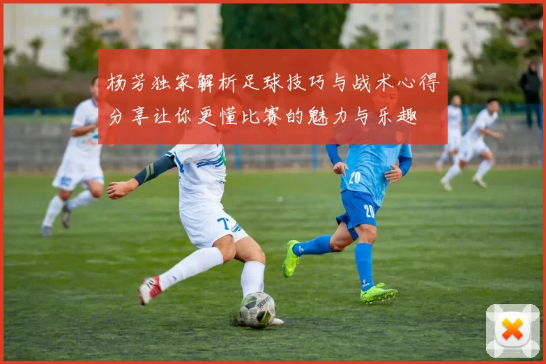 杨芳独家解析足球技巧与战术心得分享让你更懂比赛的魅力与乐趣