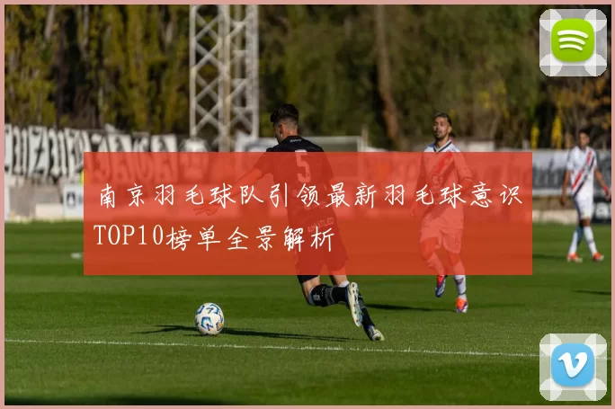 南京羽毛球队引领最新羽毛球意识TOP10榜单全景解析